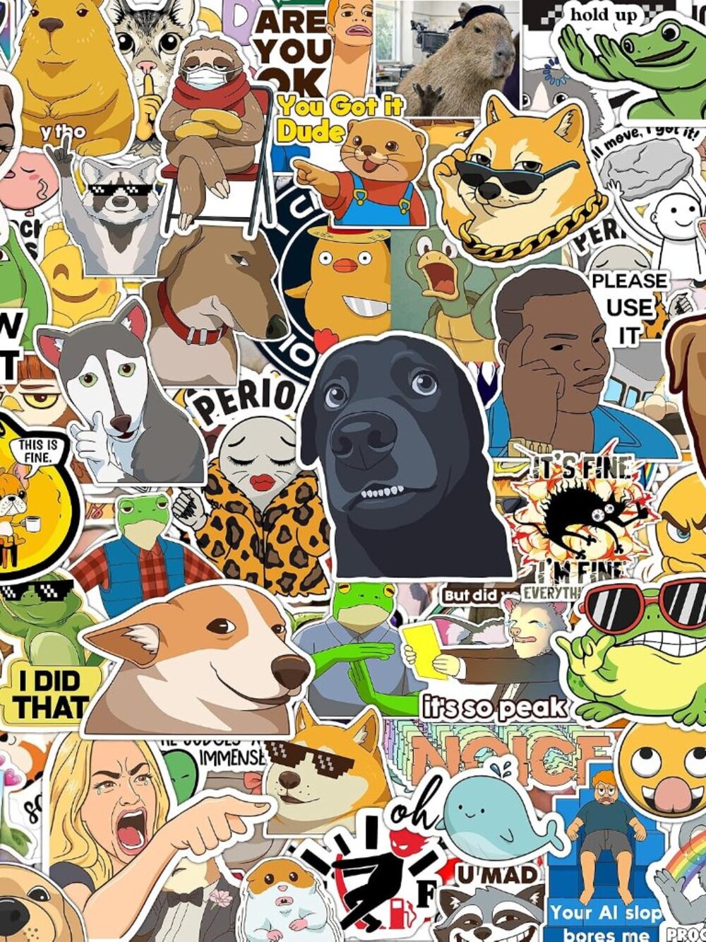 306pcs Funny Meme Vinyl Stickers Pack, Large Bulk Sticker for Laptop, Phone, Wat